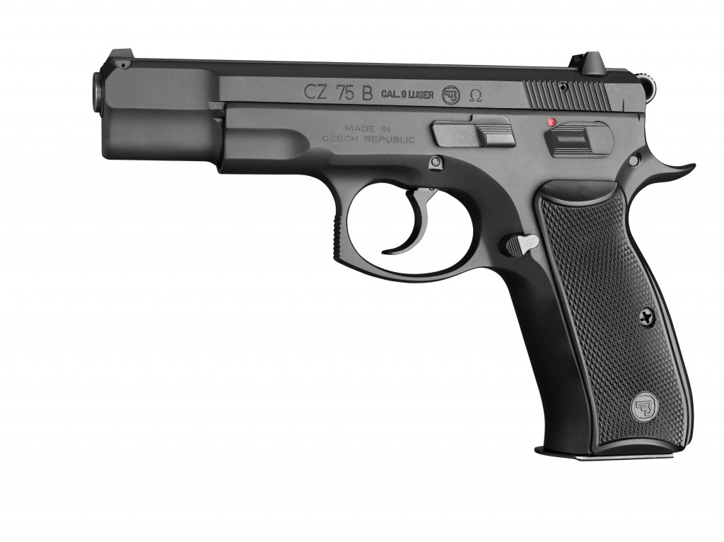 Get on the CZ Priority List to reserve your favorite CZ! - PBDionisioCo